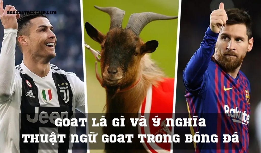 Goat là gì và ý nghĩa thuật ngữ Goat trong Bóng đá